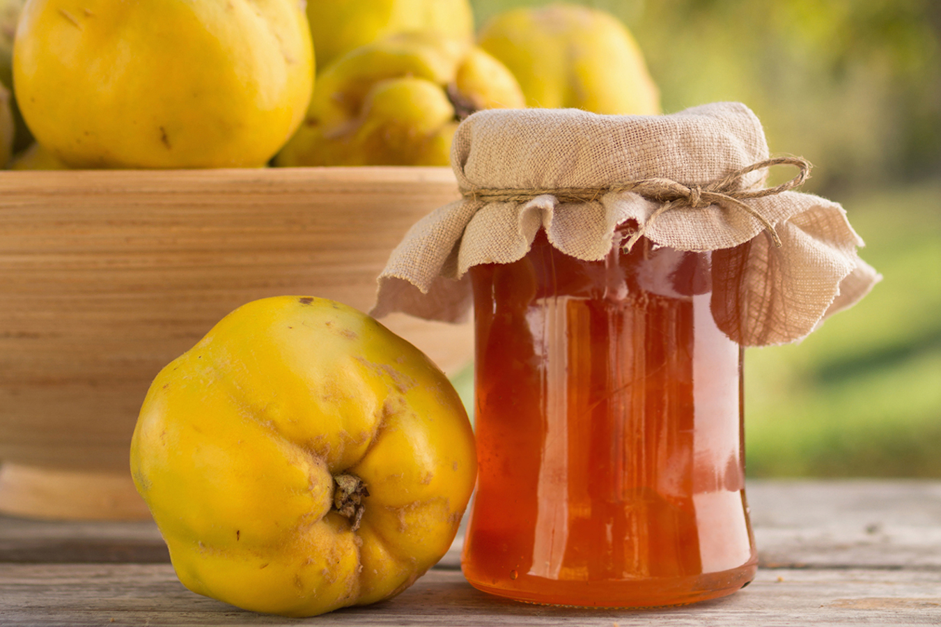 Айва японська. Яскрава красуня в українських садах — Soncesad Айва японська. Яскрава красуня в українських садах — Soncesad