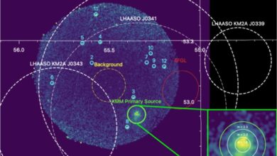 Рентгенівське зображення нещодавно відкритої туманності пульсарного вітру, пов'язаної з джерелом екстремальних галактичних космічних променів 1LHAASO J0343+5254u, отримане космічним телескопом XMM-Newton (DiKerby, Zhang, et al., ApJ, 983, 21). Джерело: космічний телескоп XMM-Newton