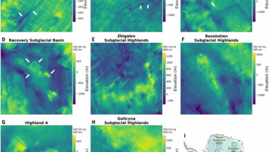 Вибрані приклади нової підльодовикової топографії IFPA. Джерело: Science (2026). DOI: 10.1126/science.ady2532.