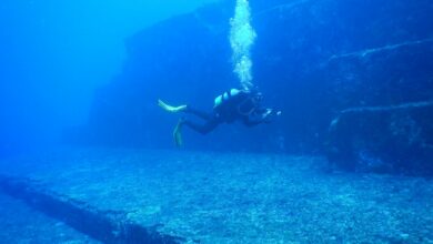 Дайвер біля пам'ятника Йонагуні. (Melkov/Wikimedia Commons, CC 1.0 Universal)