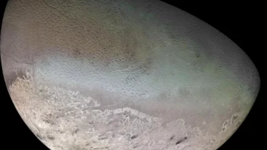 Triton, in a mosaic of images taken in 1989 by Voyager 2, is Neptune's largest moon. NASA/JPL/USGS