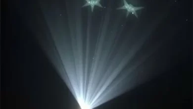 Мантам-вухаткам вдалося «закричати» хімією про небезпеку