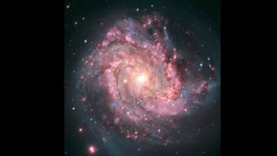 Галактика M83 приховує феєрверки з уламків давніх наднових
