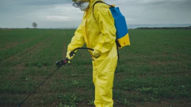Скандальний гербіцид паракват виявився не «причиною» Паркінсона