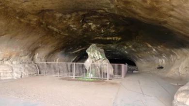 Homo erectus опанував вогонь майже два мільйони років тому
