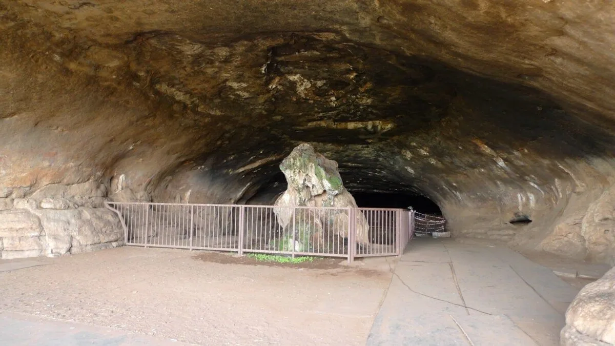 Homo erectus опанував вогонь майже два мільйони років тому