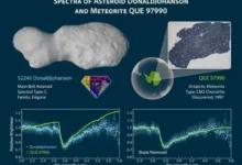 Астероїд Дональдджохансон хитається і має форму арахісу