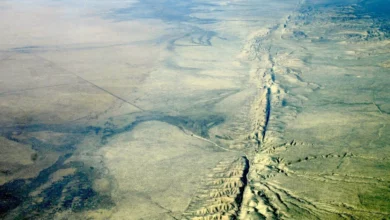Сан-Андреас досяг рекордного за 1000 років рівня напруження