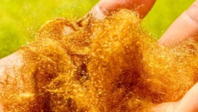 Морський шовк повернувся і не тьмяніє століттями без барвників