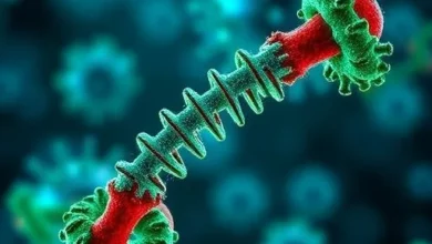 Нова мРНК-вакцина від грипу тренує імунітет ширше й довше