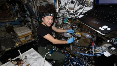 NASA вирощує п’ятий стан матерії в космосі у «квантовому холодильнику»
