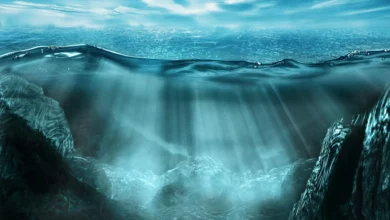Вчені пояснили як гігантське плато в океані не піднялося над водою