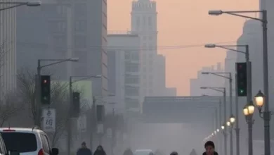 Невидимий пил у містах щороку забирає майже два мільйони життів