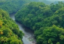 Амазонські річки виділяють у кілька разів більше метану, ніж вважали