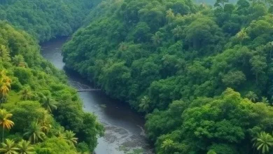 Амазонські річки виділяють у кілька разів більше метану, ніж вважали
