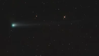 Далека зоря спричинила рідкісний дощ комет у Сонячній системі