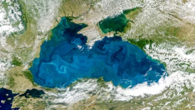 Чому Чорне море раптом світиться бірюзою з орбіти