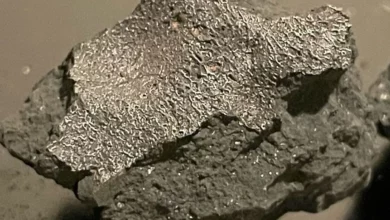 Метеорит з Нью-Джерсі показав надсолоні води у давньому астероїді