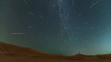 Персеїди співпадають із сонячним затемненням і дарують до 100 метеорів