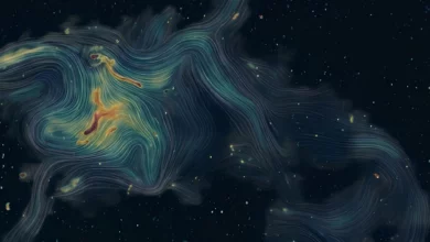 Астрономи вперше «намалювали» магнітне поле цілого скупчення галактик