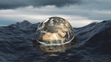 Прихований термостат океану мільйони років стримував CO₂
