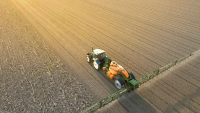Вчені знайшли спосіб очистити ґрунт від PFAS і ще й виловити CO₂