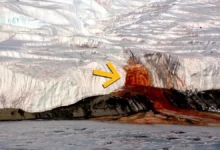 Кривавий водоспад в Антарктиді живить давнє море під льодом