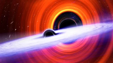 Дивний сигнал LIGO натякнув що темна матерія може бути чорними дірами