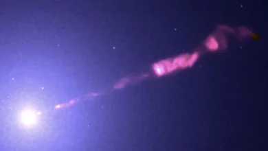 Реактивний струмінь M87* виглядає швидшим за світло