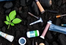 Мікропластик спотворює оцінку кліматичної користі біочару