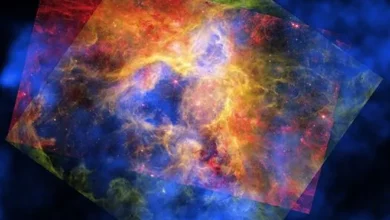 Телескопи NASA розкрили, як Туманність Тарантул втрачає енергію