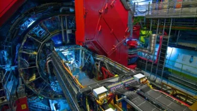 Фізики CERN зафіксували ознаки насичення глюонами в ядрах