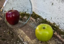 Інженери створили «брехливе дзеркало», що підміняє зображення