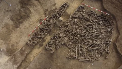 Масове поховання біля Відня розкрило поранення римських вояків