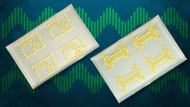Бактерії-транзистори виконують логічні обчислення всередині рослин