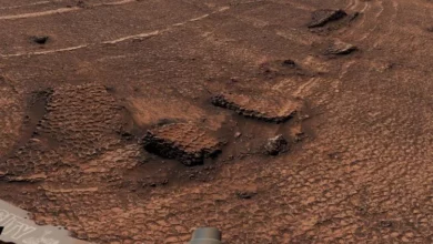 Марсохід Curiosity виявив на Марсі поле дрібних багатокутників