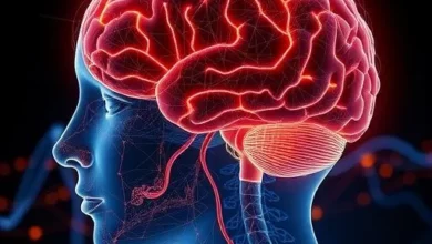 Мозок підтримує наполегливу поведінку завдяки змінній активності