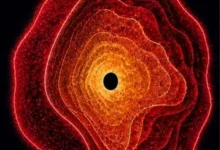 Малі червоні цятки JWST виявилися «зорями чорних дір»
