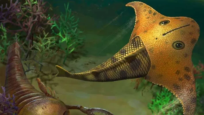 Безщелепна риба Bataspis crux ковзала девонським морем
