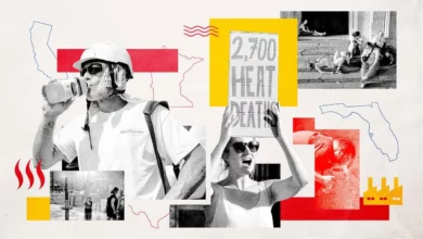 Спека понад 40 °C у США стане втричі частішою і забере тисячі життів