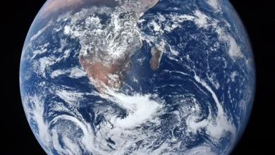 Моделювання показує що поява Землі не є космічною випадковістю