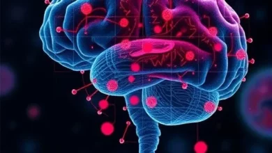 Гени глутамату й ГАМК по‑різному впливають на аутизм