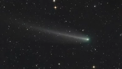 Комета 220P McNaught знову різко спалахнула на небі