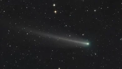 Комета 220P/McNaught раптово стала однією з найяскравіших