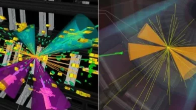 Фізики CERN зафіксували натяк на утворення пар бозонів Гіґґса