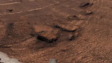 Марсохід Curiosity виявив на Марсі поле шестикутних тріщин