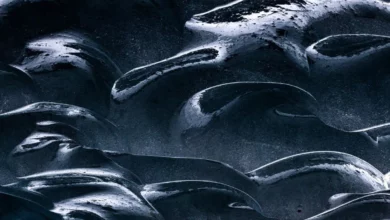 Фізики зафіксували, як вода перетворюється на скло без утворення льоду