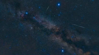 Чому літній трикутник сяє над нами аж до осені
