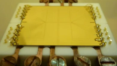 Квантові атоми у вільному падінні підтвердили принцип Ейнштейна