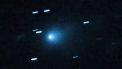 Комета 3I/ATLAS сформувалася в надхолодній тіні своєї зорі